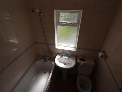 Picture 24